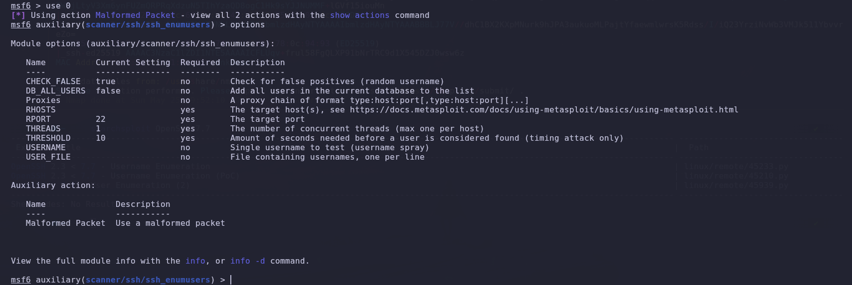Metasploit Config