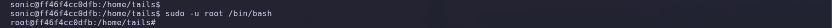 Root bash shell 2