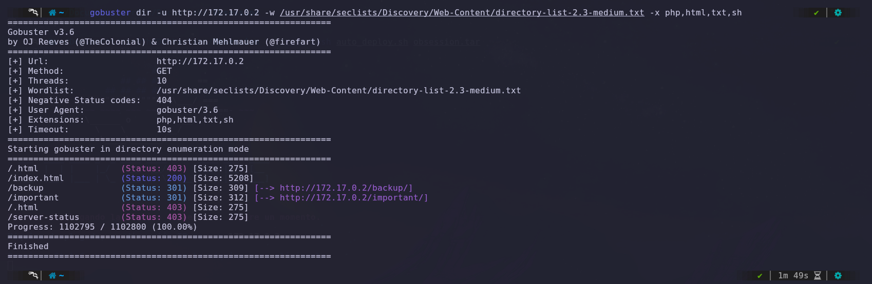 Fuzzing attack
