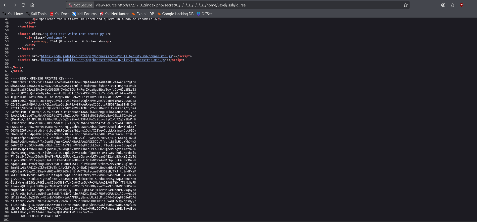 Fuzzing attack