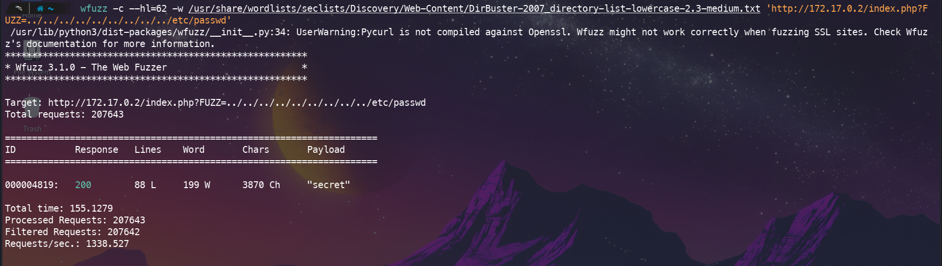 Fuzzing attack